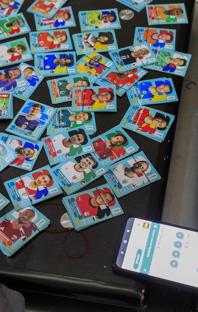 Lámina del Panini.