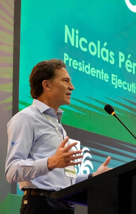Nicolás Pérez Marulanda, presidente Ejecutivo de Fedepalma.