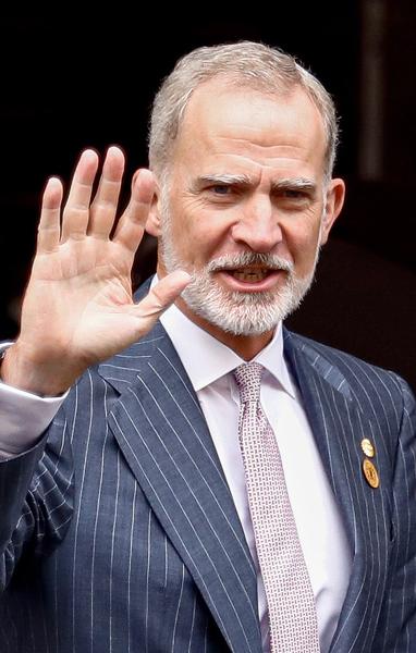 El Rey Felipe VI de España.