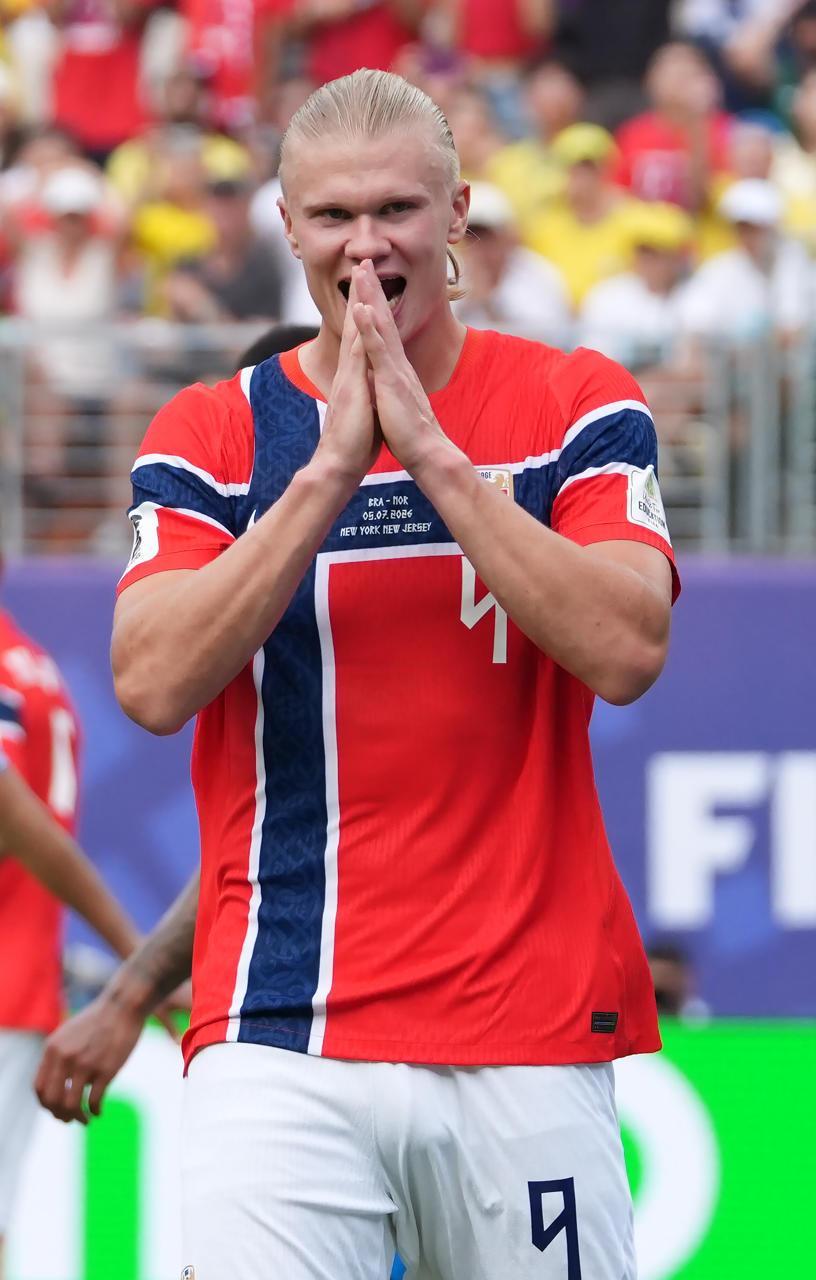  Erling Haaland 