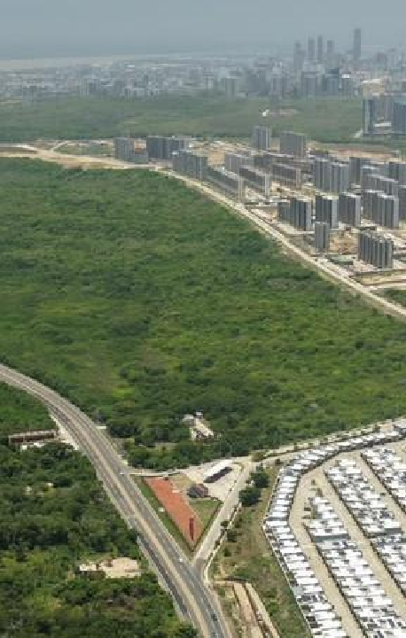 El particular recibió el lote de más de 33.000 metros cuadrados.