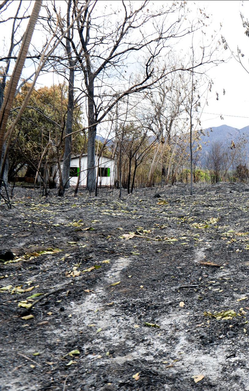 Vivienda ubicada en una zona rural de Coello, departamento del Tolima, afectada por los incendios forestales.
