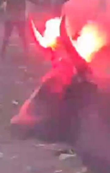 Toro con fuegos artificiales en los cuernos.