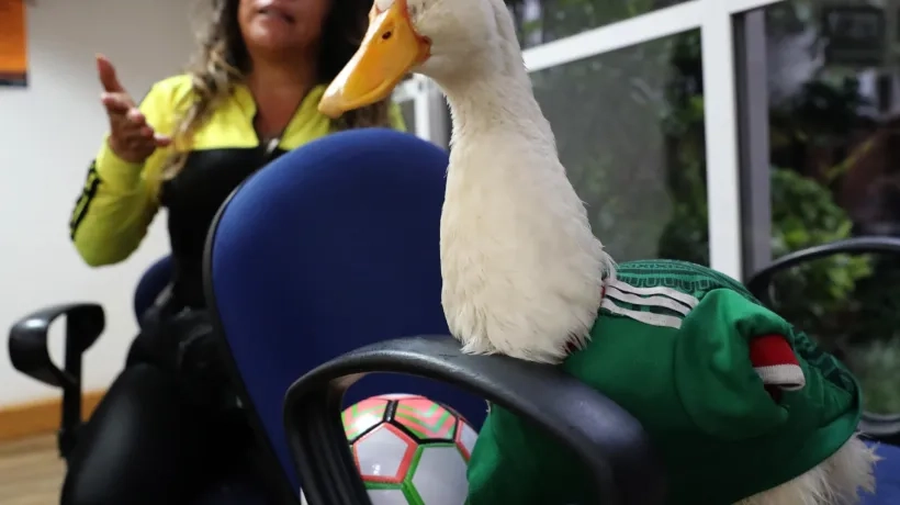 Merlín con su dueña, Karla Gómez.