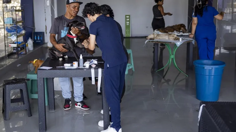 Mascotas recibiendo atención médica en La Guaira.