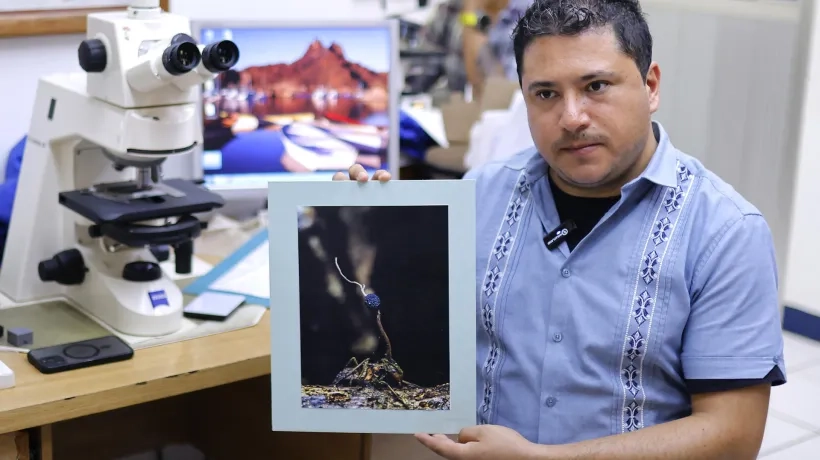 Un maestro en ciencias muestra una fotografía de una hormiga infectada.