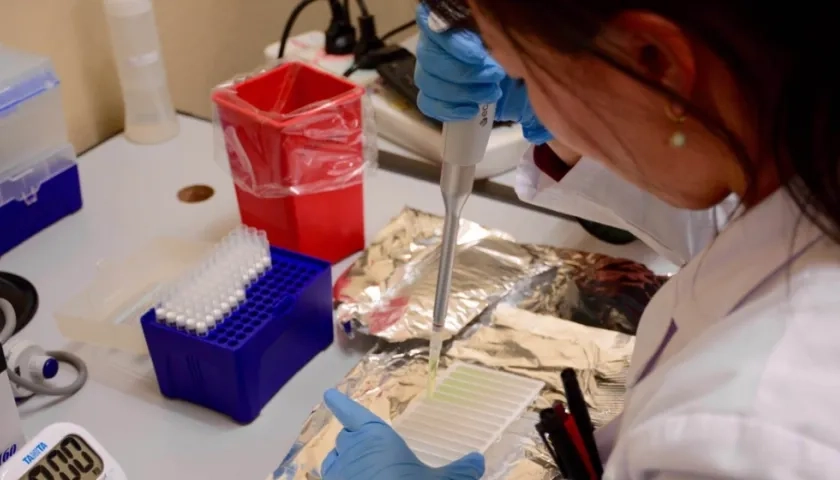  La enfermedad es causada por la bacteria "Mycobacterium tuberculosis", que casi siempre afecta a los pulmones.