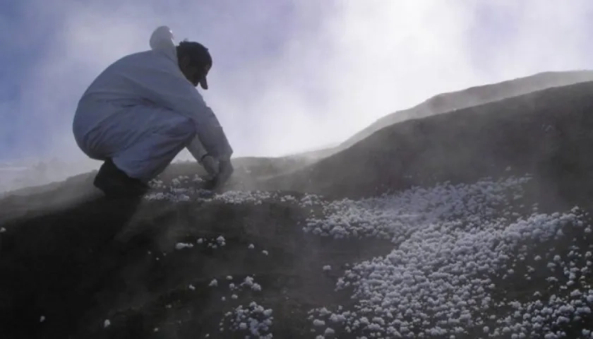 Se trata de un catálogo de referencia diverso de microbios y microbiomas en la Tierra.