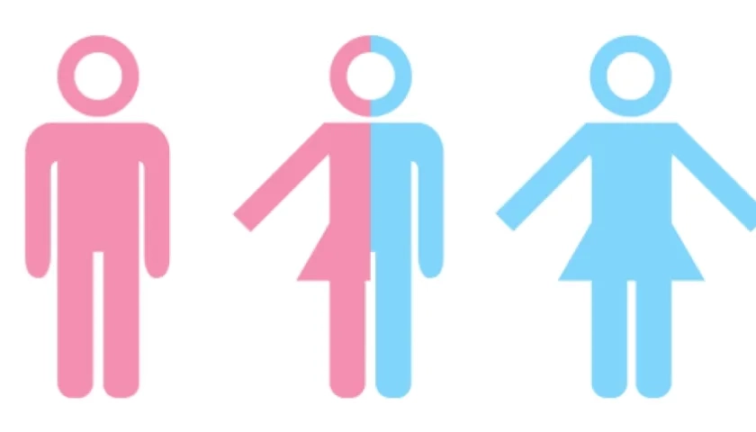 El fallo supone un paso más allá en la adquisición de derechos de las personas intersexuales en Alemania.