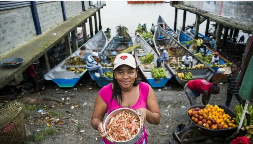 Desde que se inició en 2013 el programa del FIDA para mejorar las capacidades productivas en zonas rurales de Colombia.