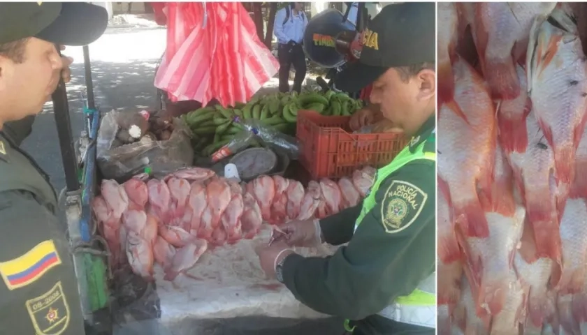 Momentos en que la Policía inspeccionaba el pescado.