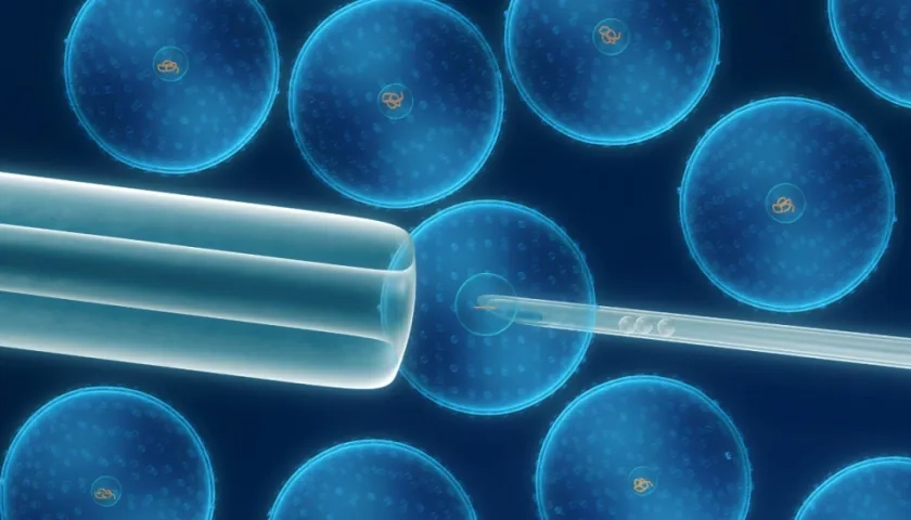 Ilustración células madre