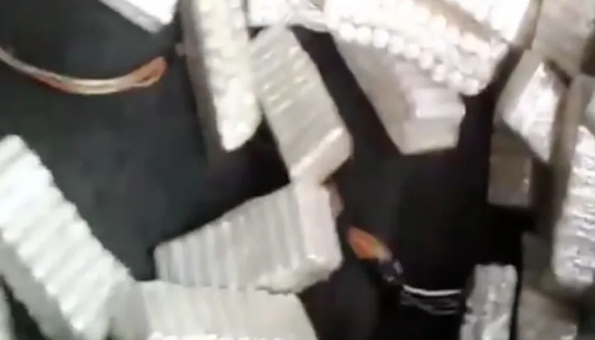 Iban empacados en bolsas de plástico.