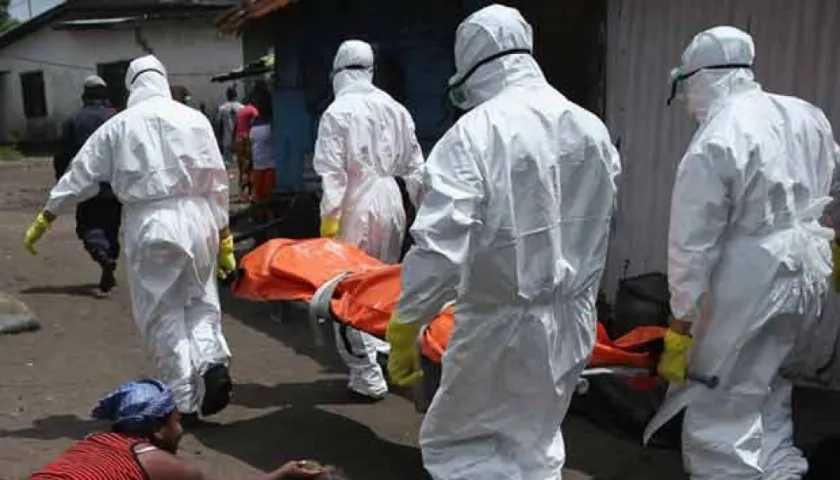 La fiebre Lassa se transmite a los humanos a través del contacto con alimentos o enseres domésticos contaminados por la excreta de roedores.