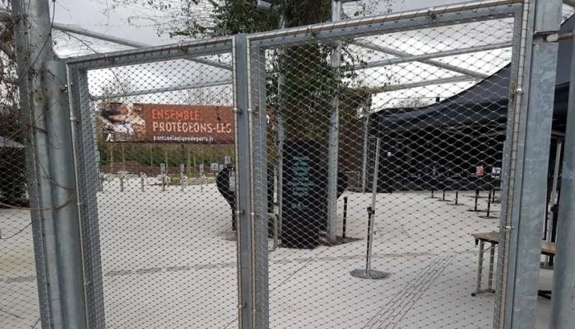 La normalidad volvió al Zoológico de París.