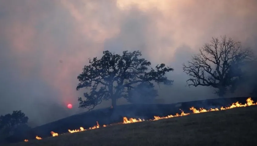  Las nueve víctimas mortales fueron halladas en Paradise.