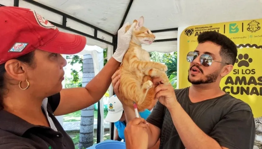  ¨La jornada fue complementaria de las acciones que se hacen diariamente en todos los barrios.