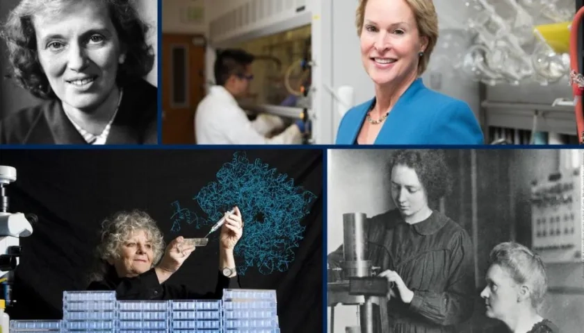 Mujeres en la ciencia que serán homenajeadas.