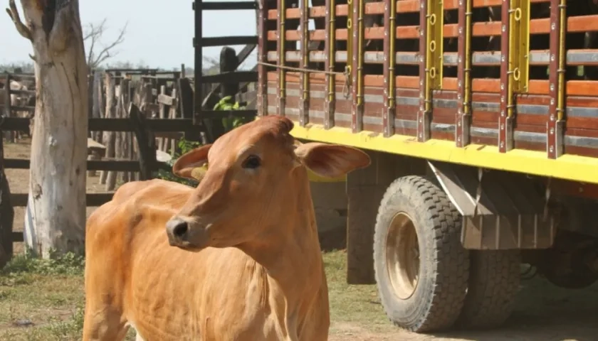 La oficina de Salud Pública Departamental programó labores de inspección las 24 horas en Carnaval.