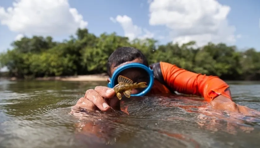  El programa Colombia-Bio es un proyecto científico de interés nacional. 