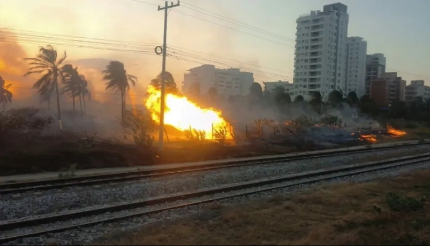 Incendio forestal cerca a  Pozos Colorados, en Santa Marta