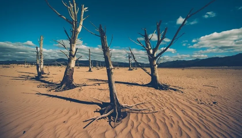 En pocos meses Ciudad del Cabo no tendrá agua.