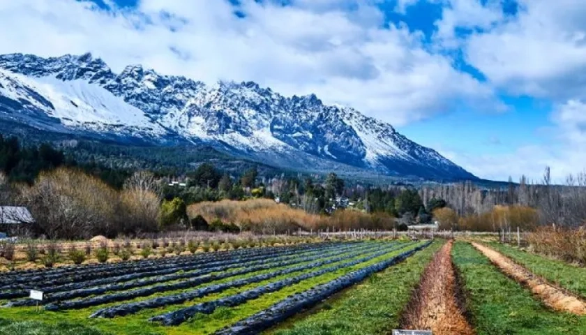 El AgMIP centra sus labores en comprender cómo la agricultura y la seguridad alimentaria son vulnerables a los cambios globales.