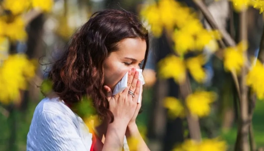  El descubrimiento también "puede ser clave" para tratar a los afectados por el "asma profesional".