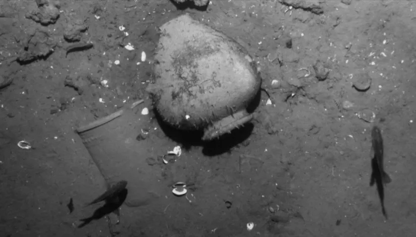 El proyecto representará una fuente económica, cultural, científica y académica de gran valor.