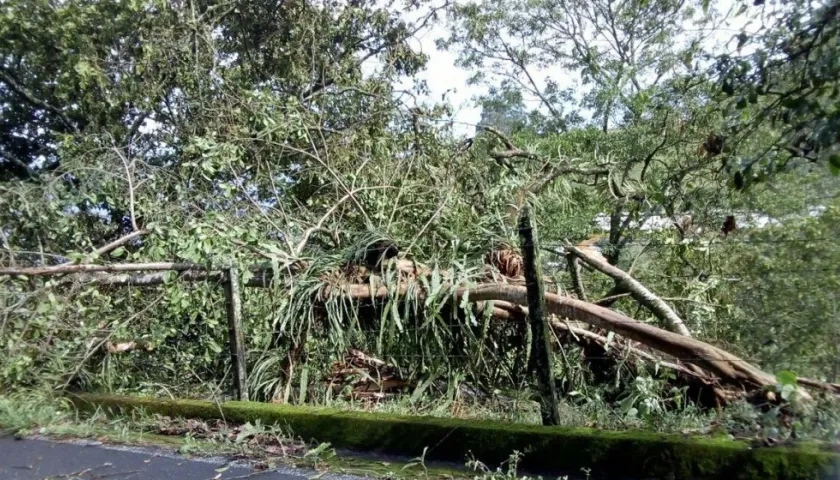 El hecho también dejó 7 personas heridas.