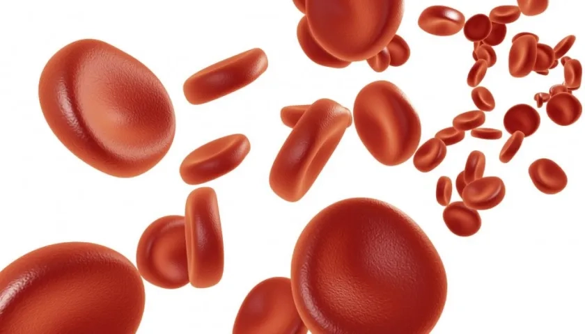 Con la técnica plasma rico en plaquetas se pueden renovar tejidos, articulaciones, y se puede utilizar para tratar problemas de artrosis.