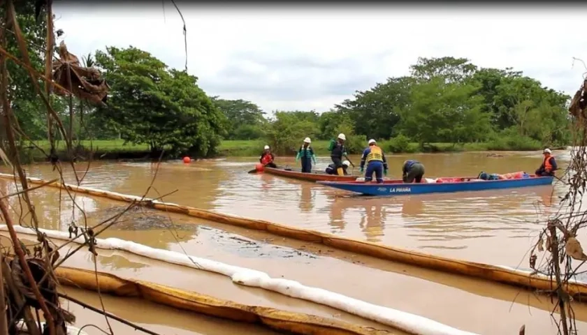 El derrame causó la muerte de 2.400 animales y afectó a 1.800 árboles.