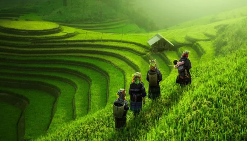 El informe de la OIT destacó que los esfuerzos por combatir el cambio climático de aquí al 2030.