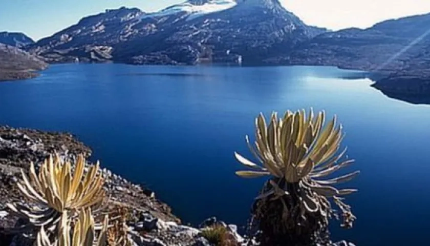 Ley de Páramos pasó a sanción presidencial.