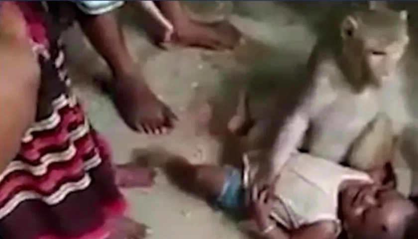 Momentos dramáticos se vivieron alrededor del hecho en una aldea de la India.