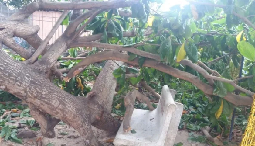 Lugar de los hechos.