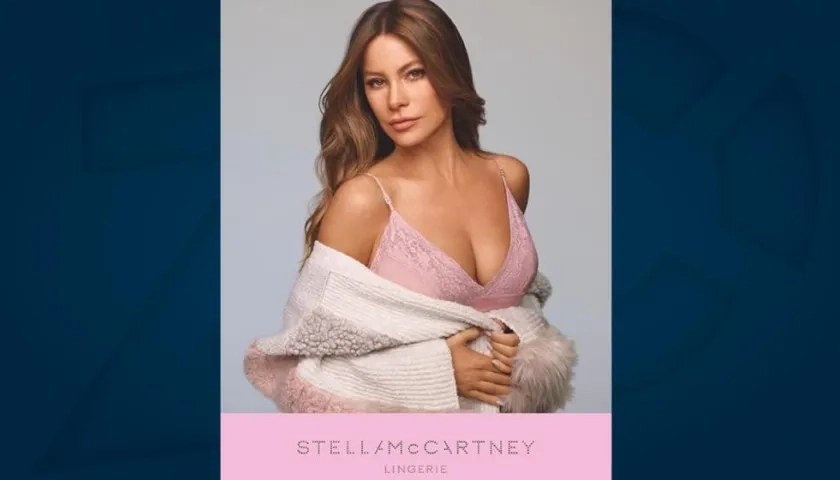 La actriz y empresaria Sofía Vergara.