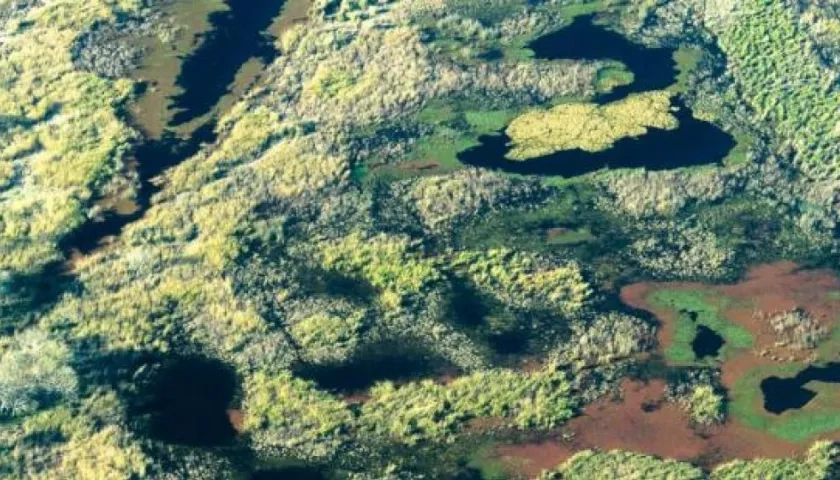 Más de mil millones de personas dependen de los humedales para su subsistencia.