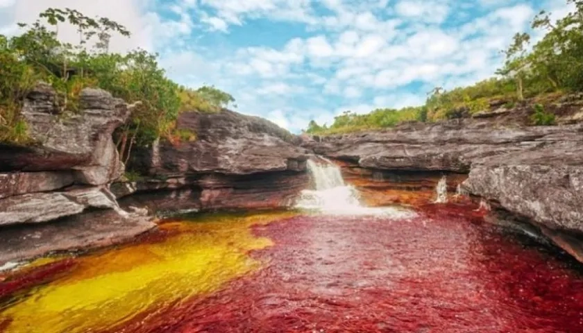 Caño cristales, en la sierra de la Macarena.