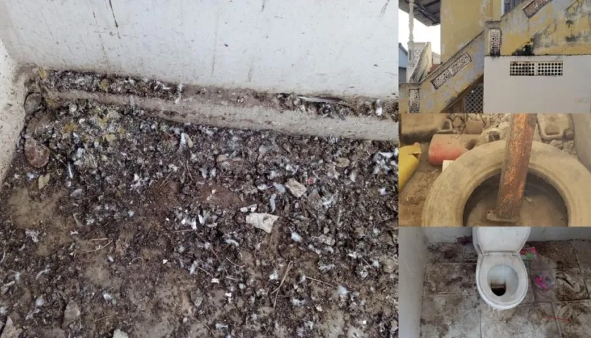 Las instalaciones en Luruaco.