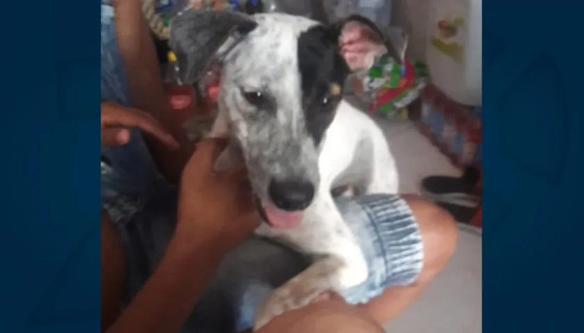 'Criminal' desapareció en El Bosque.