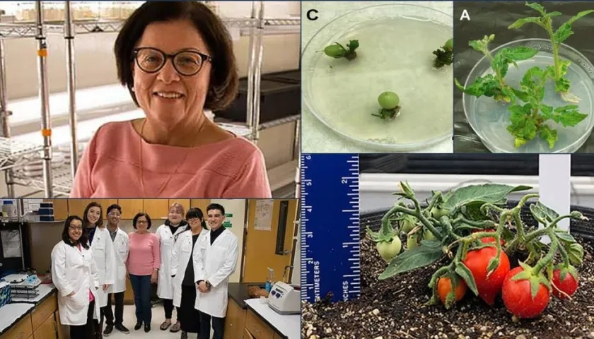 La científica colombiana Martha Lucía Orozco.