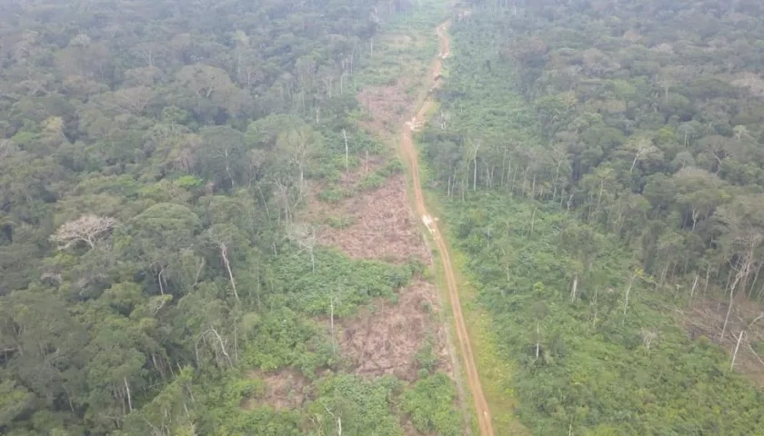 Desforestaron sin permiso para construir una vía.
