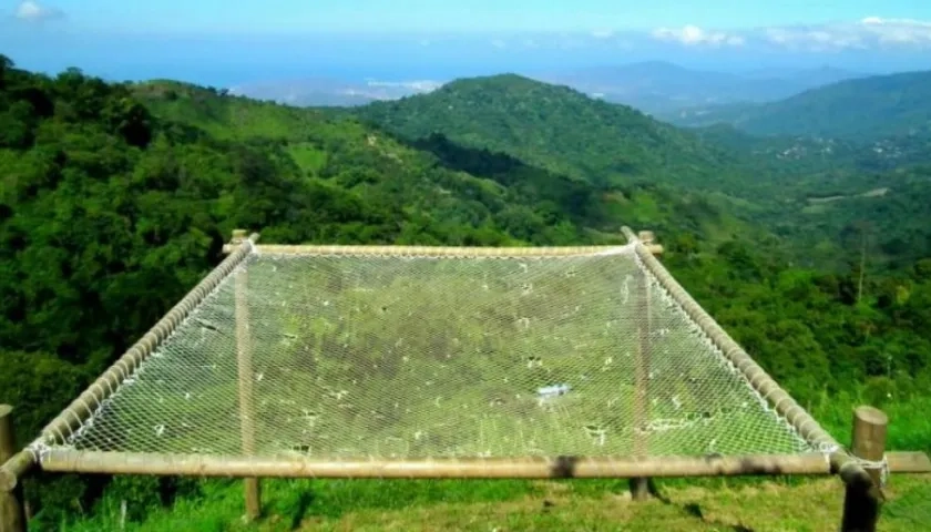 Uno de los atractivos del hostal Casa Elemento, en Minca.