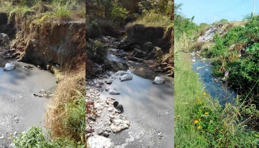 Aguas residuales y excrementos en el cauce del arroyo.