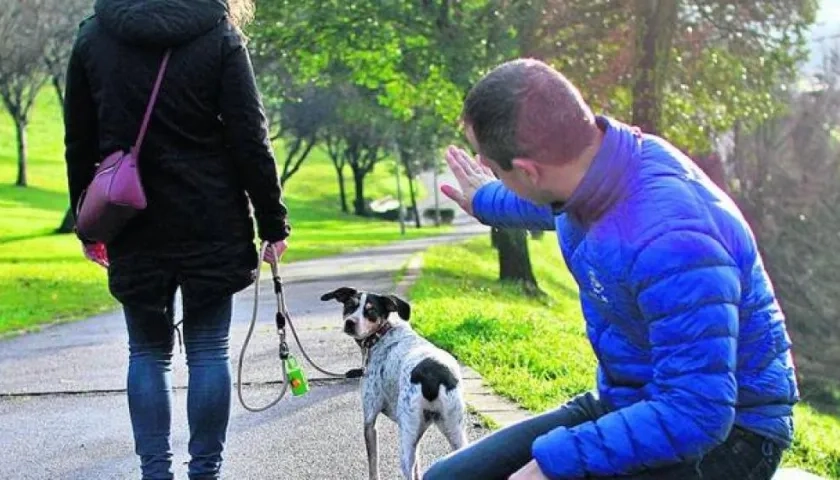 El perro como animal sintiente, según el comisario, hace parte de la familia multiespecie. 