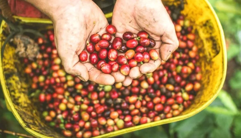 El objetivo es mitigar la actual coyuntura cafetera.