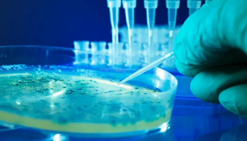  El equipo de investigación ha creado lo que ha denominado una "bomba genética programable".