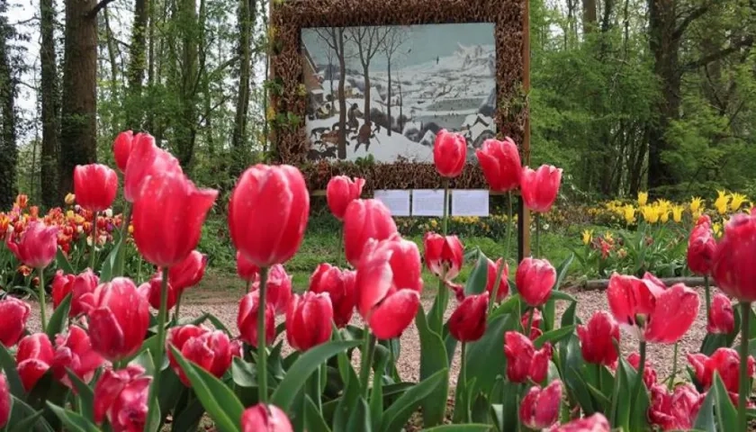  Los jardines del castillo de Grand-Bigard (Flandes), a pocos minutos de Bruselas. 