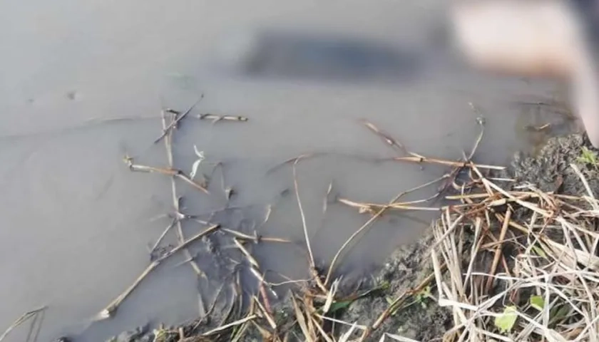 Imagen del cuerpo de la mujer.